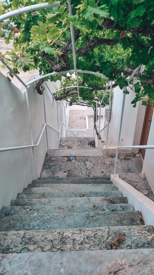Apartment Teos Sunset View Batsi (Andros)